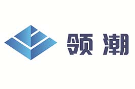 山东领潮科技服务有限公司