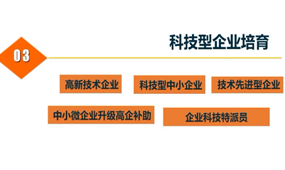 综合政策（三）科技型企业培育发展